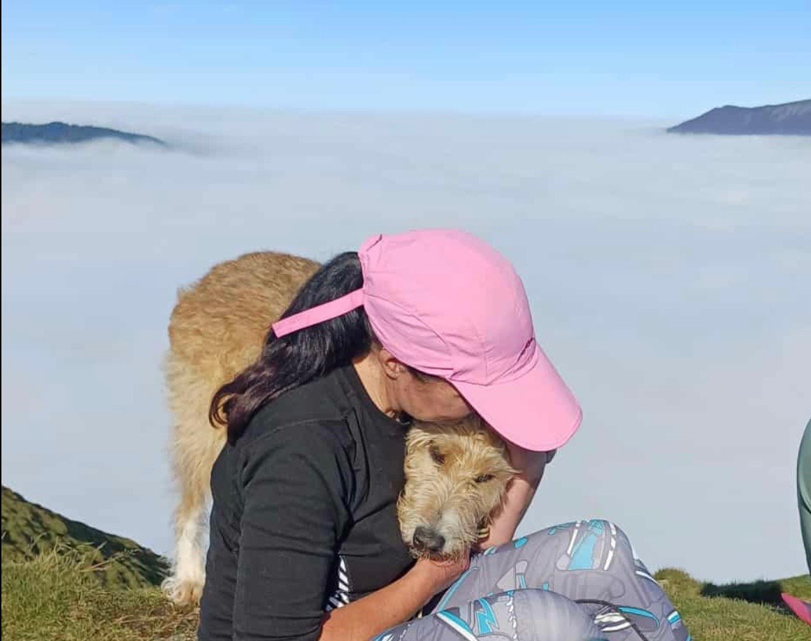 Rachel Schofield, animal communicator