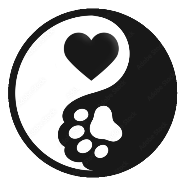 Animal Communication Reading