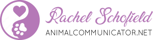 Rachel Schofield, Animal Communicator