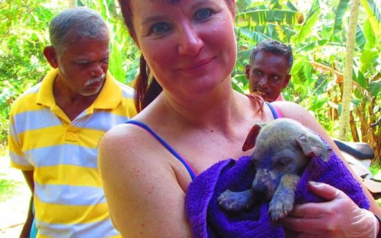 Animal Communicator, Rachel Schofield