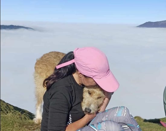 Rachel Schofield, animal communicator